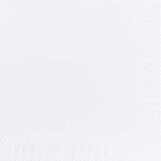 Duni Servietter, 2-lags, hvid, 24x24cm
