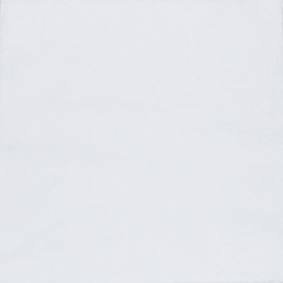 Duni Servietter, 2-lags, hvid, 33x33cm